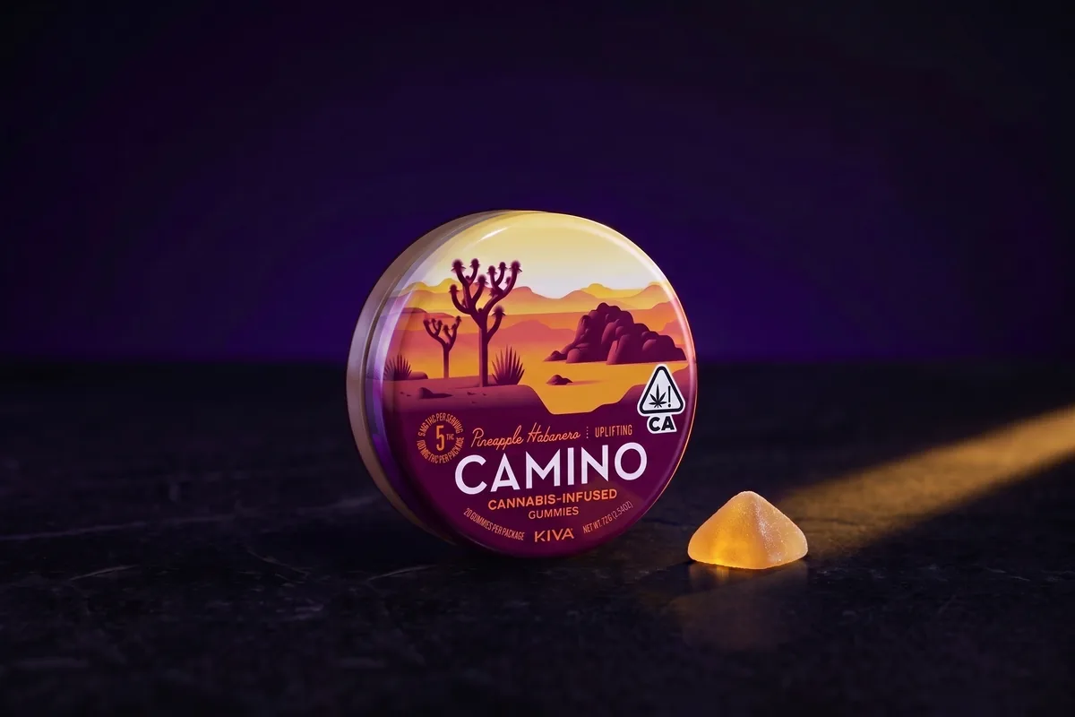 A round Kiva Camino Pineapple Habanero gummies tin on its edge, with one sugar-dusted amber gummy beside it, on black stone in gold light.