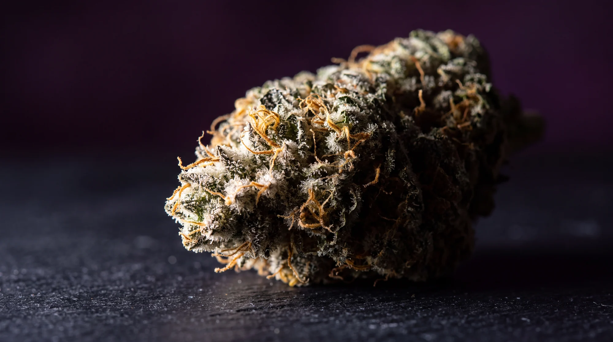 A dense premium indoor Certified Skunk cannabis flower bud, macro