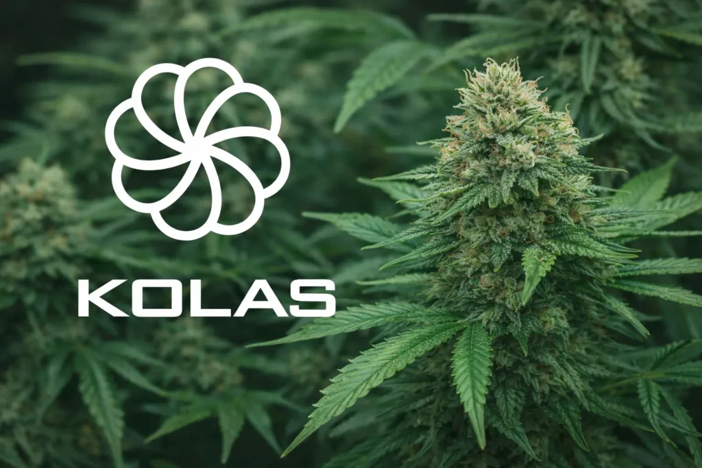 Grab-and-Go-kolas image