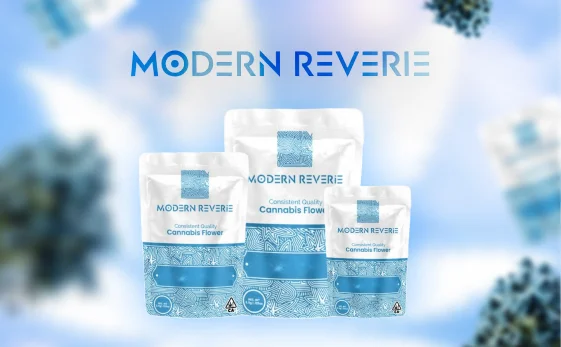 Modern-Reverie
