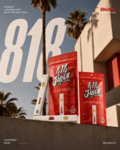 818 Brands logo