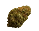 bud