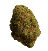 bud