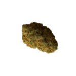 bud