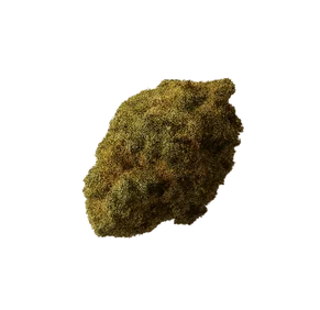 bud